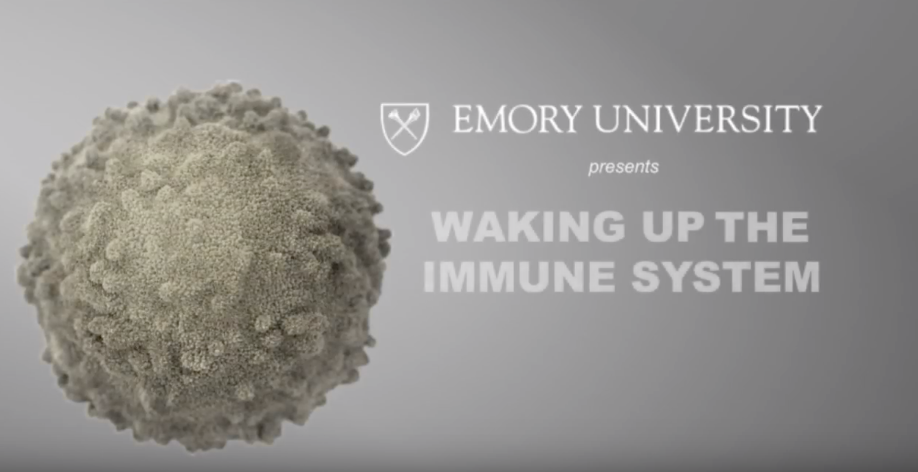 Screenshot of title of Waking Up the Immune System video